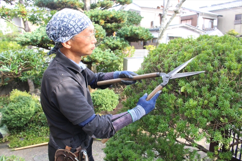 やり甲斐を持って働きませんか？